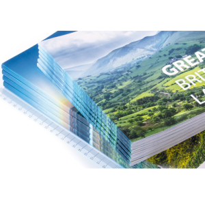 PLEGADORA GRAPADORA PLOCKMATIC BM4035